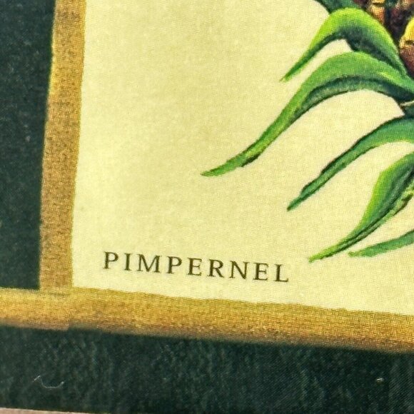 Pimpernel Pineapple Coasters Set of 5 Tropical Fruit Design by Gail A Butler - Picture 5 of 6